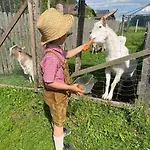 Charmantes In Bester Lage